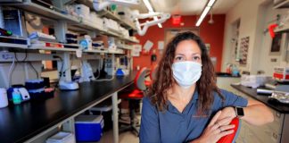 Study: Antibiotic resistance surveillance tools in Puerto Rican watersheds after Hurricane Maria (TDnews)