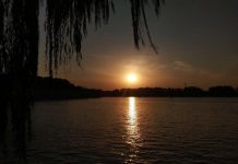 Study: CMIP6 adds more value in simulating extreme temperatures in China (TDnews)