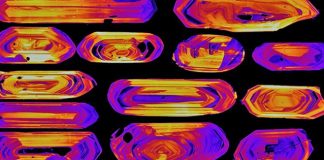 Study: Crystals reveal the danger of sleeping volcanoes (TDnews)