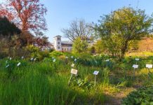 Study: German scientists compile world’s largest inventory of known plant species (TDnews)