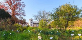 Study: German scientists compile world’s largest inventory of known plant species (TDnews)