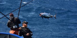 Study: How fishermen have adapted to change over the past 35+ years (TDnews)