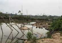 Study: Mine ponds amplify mercury risks in Peru’s Amazon (TDnews)