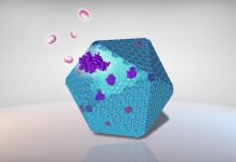 Study: New protein nanobioreactor designed to improve sustainable bioenergy production (TDnews)