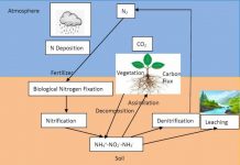 Study: Researchers improve a land surface model to better simulate the carbon-nitrogen flux (TDnews)