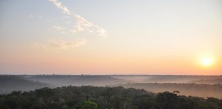 Study: Some Amazon rainforest regions more resistant to climate change than previously thought (TDnews)