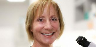 Space: Fruit flies reveal new insights into space travel’s effect on the heart