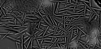 Space: New mineral discovered in moon meteorite