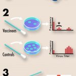 Research: Could SARS-CoV-2 evolve resistance to Coronavirus vaccines?