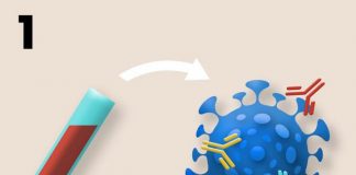 Research: Could SARS-CoV-2 evolve resistance to Coronavirus vaccines?