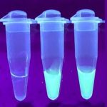 Research: For quick Coronavirus testing, iSCAN can