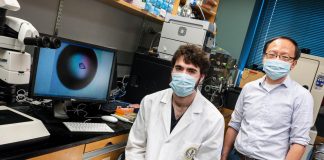 Research: Research reveals strategy to create Coronavirus drugs to inhibit virus’s entry and replication