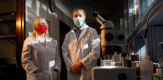 Research: Vaccine shows promise against herpes virus