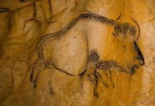 26th Anniversary of the Grotte Chauvet Discovery (Video) 26th Anniversary of the Grotte Chauvet Discovery