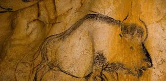 26th Anniversary of the Grotte Chauvet Discovery (Video) 26th Anniversary of the Grotte Chauvet Discovery