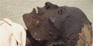 Archaeology: A non-destructive method for analyzing Ancient Egyptian embalming materials