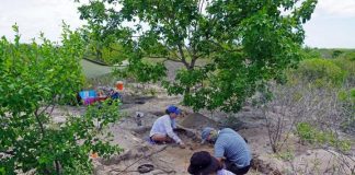 Archaeology: An archaeological project analyses informal commerce in the colonial Caribbean