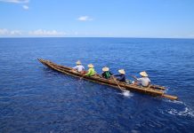 Archaeology: Ancient migration was choice, not chance