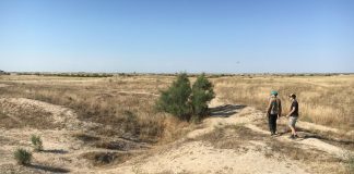 Archaeology: Climate change caused the demise of Central Asia’s river civilizations, not Genghis Khan