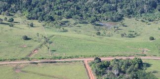 Archaeology: Early human landscape modifications discovered in Amazonia