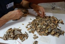 Archaeology: New evidence: Neandertals buried their dead