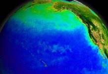 Archaeology: Warm oceans helped first human migration from Asia to North America