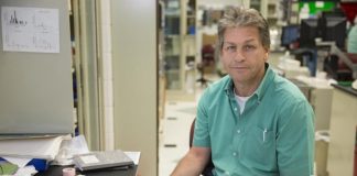 Biology: Baby’s first breath triggers life-saving changes in the brain