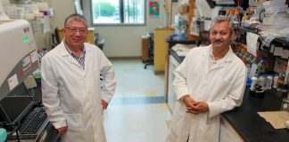 Biology: Cervical cancer survival may improve by targeting senescent “zombie” cells