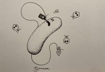 Biology: Newly discovered toxin-antitoxin system abundant in one-cell organisms