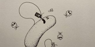 Biology: Newly discovered toxin-antitoxin system abundant in one-cell organisms