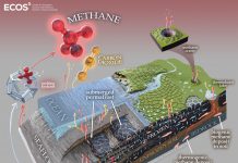 Climate Change: A groggy climate giant: subsea permafrost is still waking up after 12,000 years