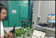 Climate Change: SMART scientists design portable device for fast detection of plant stress