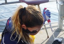 Climate Change: Research proves bits of DNA in seawater correlate to the weight of netted fish