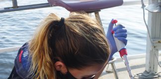 Climate Change: Research proves bits of DNA in seawater correlate to the weight of netted fish
