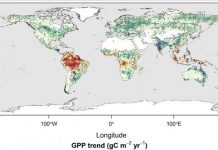 Climate Change: Water limitations in the tropics offset carbon uptake from arctic greening