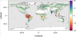 Climate Change: Water limitations in the tropics offset carbon uptake from arctic greening