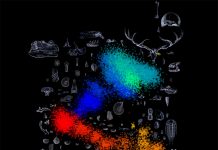 Study: Artificial intelligence finds surprising patterns in Earth’s biological mass extinctions (TDnews)