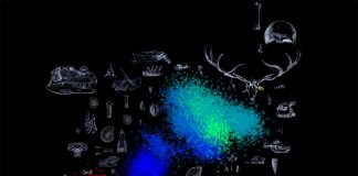 Study: Artificial intelligence finds surprising patterns in Earth’s biological mass extinctions (TDnews)