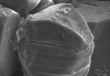 Study: Single-crystal technology holds promise for next-generation lithium-ion batteries (TDnews)