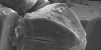 Study: Single-crystal technology holds promise for next-generation lithium-ion batteries (TDnews)