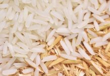 Study: Thermal energy storage the key to reducing agricultural food pollution (TDnews)