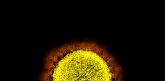 Research: Baricitinib plus Remdesivir shows promise for treating Coronavirus