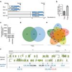 Research: Development of a new method for decoding viral genes