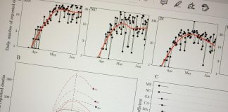 Research: Tension between awareness and fatigue shapes Coronavirus-19 spread