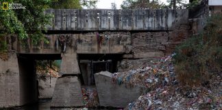 Biology: Combined river flows could send up to 3 billion microplastics a day into the Bay of Bengal