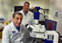 Biology: Fine tuning first-responder immune cells may reduce TBI damage