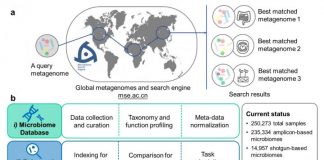 Biology: Microbiome Search Engine 2 helps scientists explore microbiome space