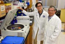 Biology: New approach emerges to better classify, treat brain tumors