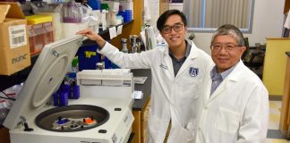 Biology: New approach emerges to better classify, treat brain tumors