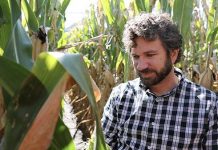 Biology: New research compiles four years of corn loss data from 26 states and Ontario, Canada